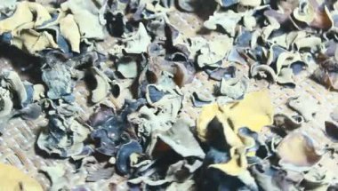 Kurutulmuş ahşap kulak mantarları