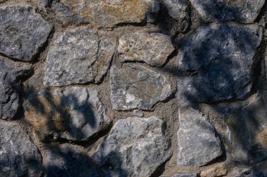 Güneş ışığı dalların arasından süzülür, dokulu taş bir duvara sevimli gölgeler bırakır, doğanın güzelliğini gözler önüne serer..