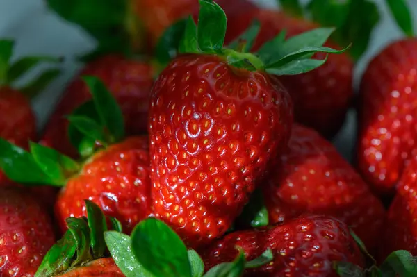 Sulu çilekler, bereketli yeşil yapraklarla çevrili parlak kırmızı renklerini sergilerler, ılık yaz ışığında..