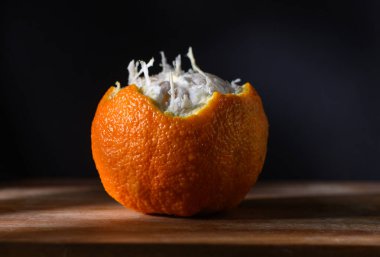 Canlı bir portakal kabuğu ahşap bir yüzey üzerinde oturur ve içinden kabarık tüylü beyaz iplikler çıkar..