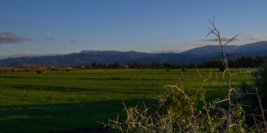 Bereketli bir arazi, engebeli bir dağ zemininin çerçevelediği, güneş ışığının tadını çıkaran yemyeşil tarlalarıyla aydınlanır..