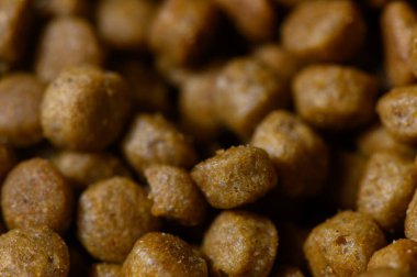 Renkli, kuru, evcil hayvan yiyeceği şekillerinin yakın çekimi. Her akşam tüylü dostları beslemek için ideal..