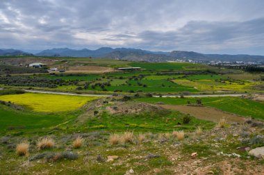 Yeşil yemyeşil tarlalar ve tarlalar araziye yayıldı, uzak dağlar gri bulutların altında belirdi..