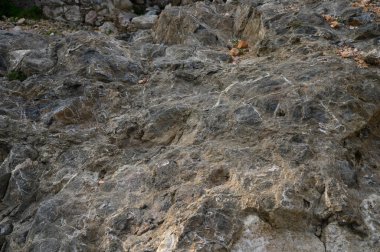 Engebeli bir arazide, doğal güzellikle demlenmiş antik kayaların olağanüstü dokularını ve desenlerini keşfedin..
