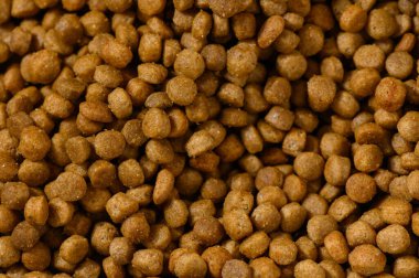 Küçük kahverengi köpek mamaları zengin bir duvar halısı oluşturur. Beslenme veya atıştırma saatlerinde evcil hayvanların eğlenmesi için hazırdırlar..