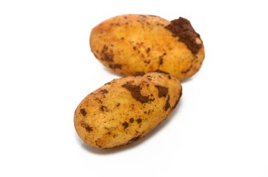 İki kırsal patates, taze tarım ürünü ve sağlıklı gıdanın özünü somutlaştıran kaba derilerini sergilerler..