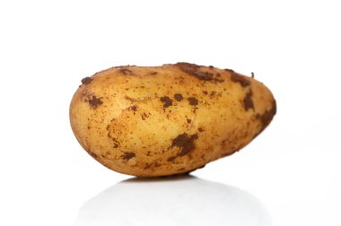 Yeni koparılmış bir patates, temiz bir zemine dayanır. Kırsal derisini ve doğal kusurlarını ön plana çıkarır..