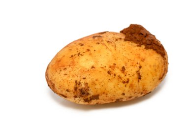 Köy dokusuna sahip rustik patates, organik güzelliğini vurgulayarak, temiz beyaz bir zemin üzerinde oturur..