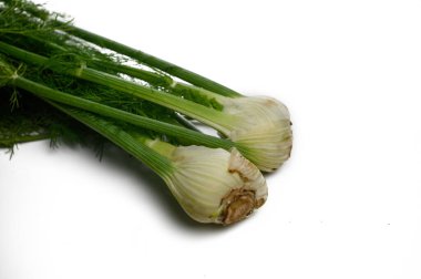 Crisp and aromatic fennel bulbs lie gracefully, bringing vibrant aroma and flavor to the kitchen for creative dishes. clipart