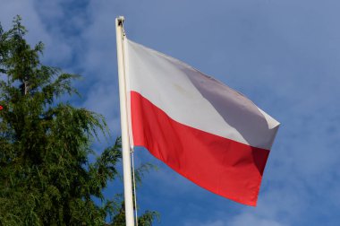 Kırmızı ve beyaz bir Polonya bayrağı yemyeşil gökyüzünün üzerinde dalgalanıyor, canlı bir gökyüzü altında, ulusal gurur ve ruhu somutlaştırıyor..