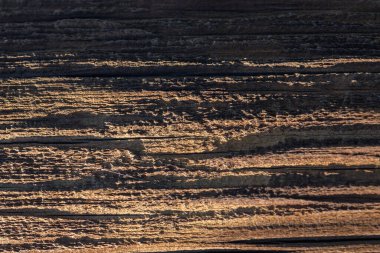 Güneş ışığı kaba ahşap bir yüzey üzerinde dans eder, doğanın karmaşık desenlerini ve dokularını gösterir..