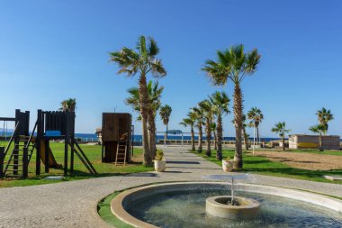 Çocuklar palmiye ağaçlarının arasında bir çeşmenin yanında güneşli bir günde sahildeki parkta oynuyorlar..