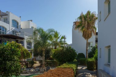 Huzurlu bir yerleşim bölgesinde açık mavi gökyüzünün altında yeşil bahçeler, palmiye ağaçları ve sakin yollar bulunur..