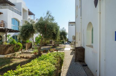 Yeşillik ve zeytin ağaçlarının arasında dolanan dar bir patika büyüleyici beyaz yapılar arasında yol açar..