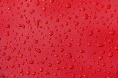 Narin damlacıklar parlak kırmızı bir zemin süsler, serinletici bir yağmurun ardından bir huzur anı yakalar.