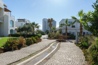 Palmiye ağaçları ve canlı bitkilerle dolu sakin bir yürüyüş yolu, pitoresk bir mahallede gezintiye çıkmaya davet eder..