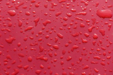 Su boncukları parlak kırmızı bir yüzeyde zarif bir şekilde ışığın yansıması, doğanın büyüleyici güzelliğini gözler önüne seriyor..