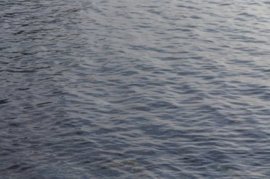 Sakin yüzey boyunca hafif dalgalar dans eder, sakin bir günbatımının altın renklerini yakalar.