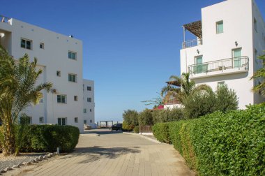 Sakin bir yol, berrak mavi gökyüzünün altındaki canlı yeşilliklerle çevrili çağdaş beyaz binalara götürür..