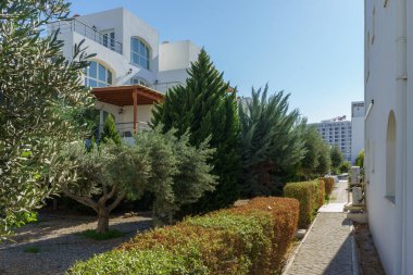 Parlak, güneşli bir günde, yemyeşil ağaçlarla ve düzgünce budanmış çalılarla çevrili huzurlu bir yürüyüş..