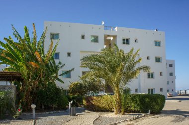 Çağdaş bir yapı, canlı palmiye ağaçları ve sahil kıyısındaki berrak bir gökyüzünün altında manikürlü çalıların arasında duruyor..