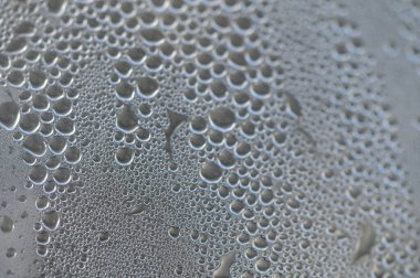 Küçük çiy damlaları serin bir yüzeyde toplanır, yumuşak sabah ışığını yansıtır ve doğanın karmaşık sanatını gözler önüne serer..