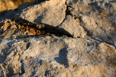 Güneş ışığı, yıpranmış bir kayanın dokusunu ve çatlaklarını aydınlatarak büyüleyici bir doğal heykel oluşturur..