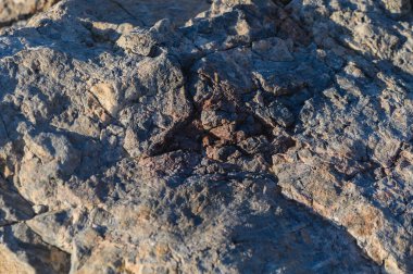 Güneş ışığı, engebeli kaya oluşumlarının karmaşık dokularını vurgular, doğanın güzelliğini ve esnekliğini yakalar..