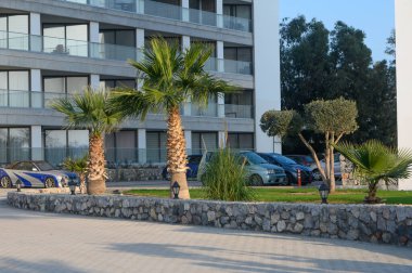 Parlak bir şehir ortamında güneşli bir öğleden sonra lüks arabalar palmiye ağaçlarının yanına park edilir..