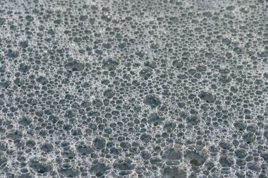 Yumuşak kabarcıklar su yüzeyinde yükselir ve dans eder, kıyı şeridinde yeni bir günün yumuşak ışığını yansıtır.