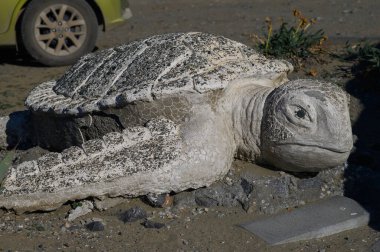 Betondan yapılmış büyük bir kaplumbağa heykeli serpilmiş kayaların ve yeşilliklerin arasında, parlak güneş ışığı altında yatar..