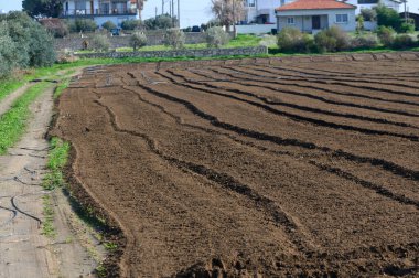 Bereketli toprak, güneş huzurlu kırsal bölgelerde parlarken ekime hazır..