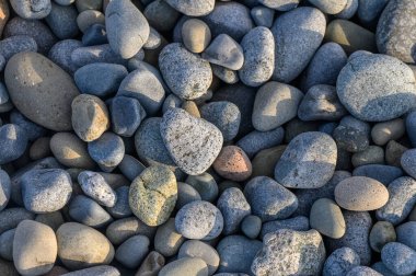 Gün ortasında güneşli bir kıyı şeridine serpilmiş gri ve mavi tonlarda çeşitli pürüzsüz, yuvarlak taşlar..