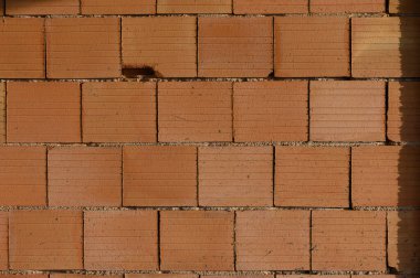 Sıcak tuğlalar güneşe davet ediyor ve şehir manzarasına eşsiz dokular ekliyor..