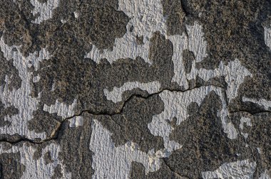 Eskimiş beton yüzeydeki desenli çatlaklar ve benzersiz desenler çürümenin ve aşınmanın güzelliğini gözler önüne seriyor..