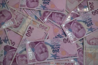 Renkli Türk lira banknotları yayılarak canlı renklerini ve karmaşık tasarımlarını sergiliyor.
