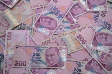 Türk lirasından canlı bir koleksiyon yaratıcı bir şekilde dağılmış, zenginlik ve para biriminin çeşitliliğini vurguluyor.