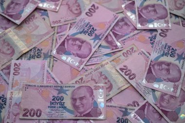 Türk banknotlarından oluşan renkli bir koleksiyon, karmaşık ayrıntılarını ve kültürel önemini gözler önüne seriyor..