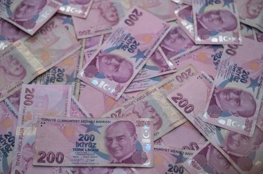 Türk banknotları yayılarak canlı renkler ve karmaşık tasarımlar sergiliyor ve ülke ekonomisini yansıtıyor.