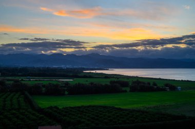 Altın günbatımı renkleri dingin tarlaları aydınlatır. Uzaktaki görkemli dağlar sakinliği yansıtır..