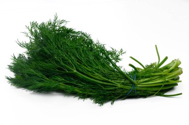 Canlı bir dereotu sürüsü, yemyeşil tüylü yapraklarını ve saplarını sergileyerek aşçılık yaratımına hazır..