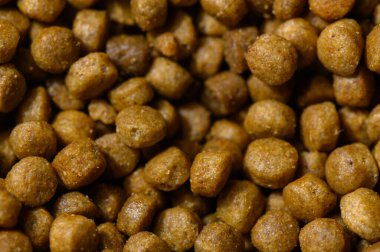 Küçük, yuvarlak, evcil hayvan taneciklerinin yakın çekimi sıcak parlıyor, zengin dokusunu ve rengini sergiliyor..