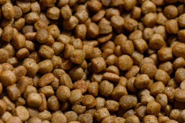 Küçük, yuvarlak mama parçaları bir yüzeyi kaplıyor, her ısırıkta besleyici yemeklerine dalmak için cezbedici hayvanlar..