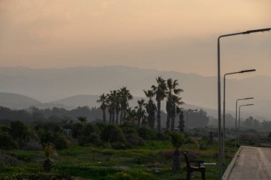 Yumuşak bir alacakaranlık, sakin palmiyeler ve uzak dağların üzerine ılık bir parıltı saçar..