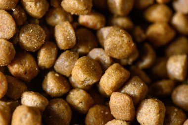 Yüksek kaliteli evcil hayvan yemekleri zengin dokulara ve altın renklere sahiptir, öğle yemeği saatlerinde kürklü arkadaşlara özen gösterirler..