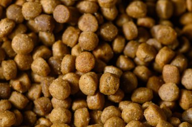 Çeşitli evcil hayvan maması topaklarının yakın görüntüsü, farklı şekillerini, boyutlarını ve toprak tonlarını vurguluyor..