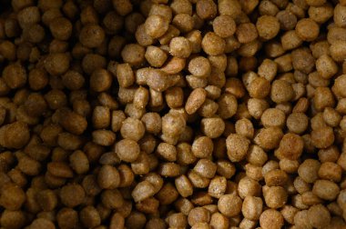 Besleyici köpek mamaları geniş bir konteynırı doldurur, yemek zamanında neşeli hayvanlara enerji ve sağlık sağlar..