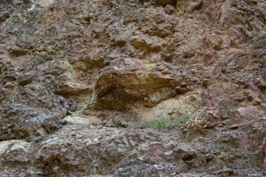 Kayalık yüzeyin eşsiz desenleri ve renkleri sessiz yabanda erozyon ve dayanıklılığın hikayesini anlatır..