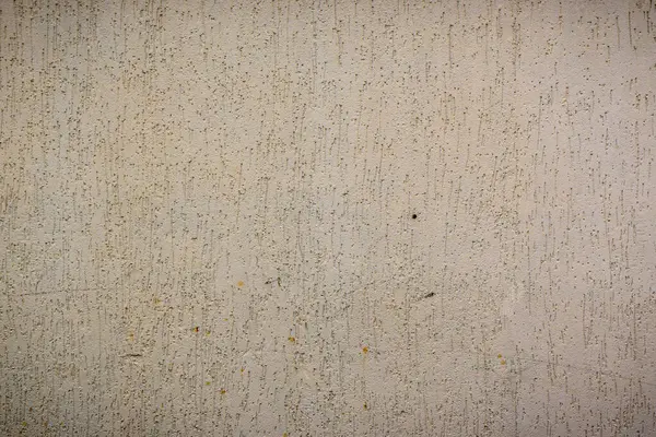 Yakın plan, yumuşak renklerde dokulu bir duvar gösteriyor. Doğanın sanatını takdir etmeye teşvik ediyor..