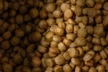 Kahverengi köpek mamaları bir kasede oturur, yumuşak ışık altında parıldar, yemek saatinde ya da atıştırma saatinde evcil hayvanları eğlendirmeye hazırlanır..